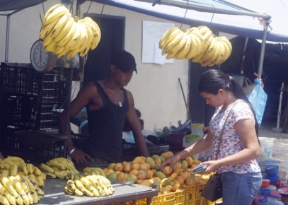 FRUTAS
