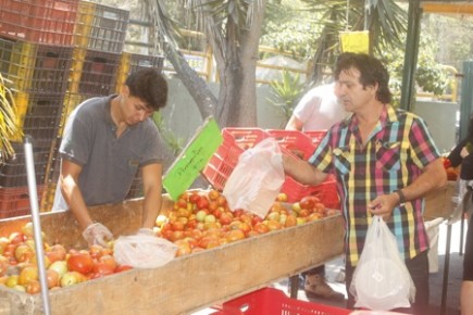 Feria