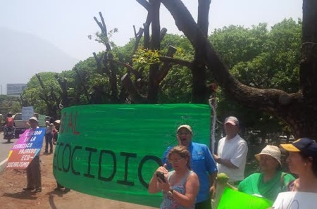 Protesta
