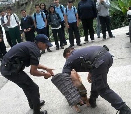 Policia canina