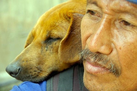 PERROS
