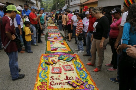 flores