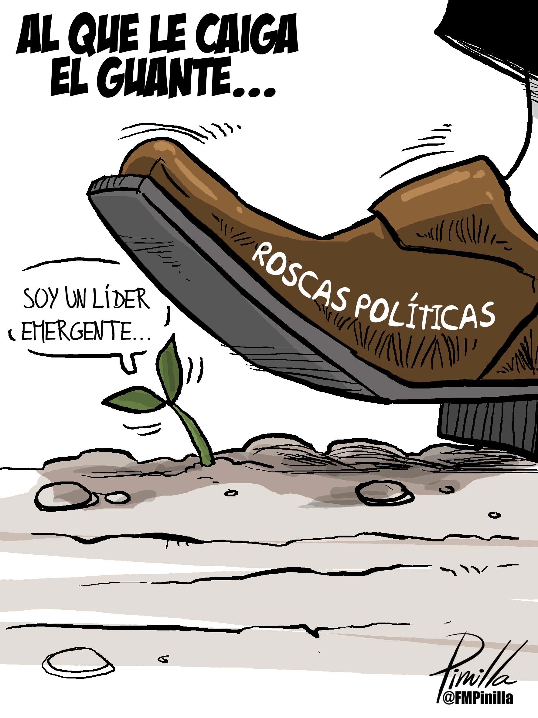 liderazgo emergente