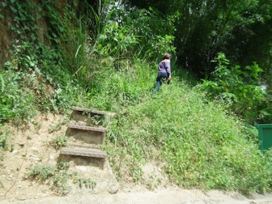 zulet