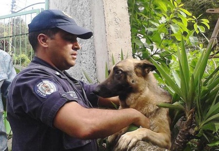 Polimiranda