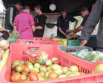 El kilo de tomate pasó de Bs 250 a Bs 500