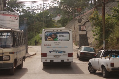Delsa 6