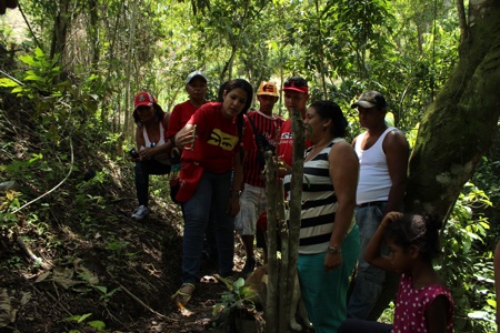 Ortega 3