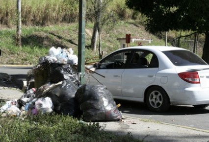 Los basureros lucen repletos