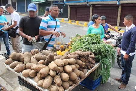 Verduras