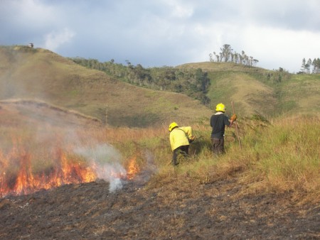 Si desea reportar un incendio forestal puede llamar a Protección Civil Miranda por los teléfonos (0212) 383-61.52 / (0212) 327-96.16 / (0212) 327-90.86.