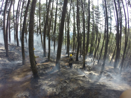 Desconocen qué inició el incendio. El jueves se reportaba el inició de otro en el dique de Agua Fría.
