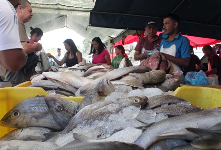 Pescado