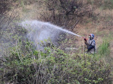 En El Jarillo no escapan al desabascimiento de alimentos, problemas de inseguridad y vialidad.