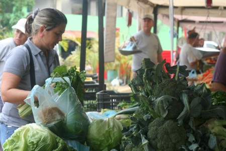 Los vegetales son buena opción ante la carestía de las proteínas