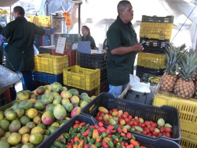 Otro inconveniente con el que se topan las personas a la hora de comprar el tomate es que no hay variedad