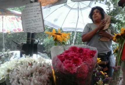 Refiere que los precios al mayor son de Bs 90 por cada flor, por lo que el precio de venta no baja de Bs. 150 al detal.