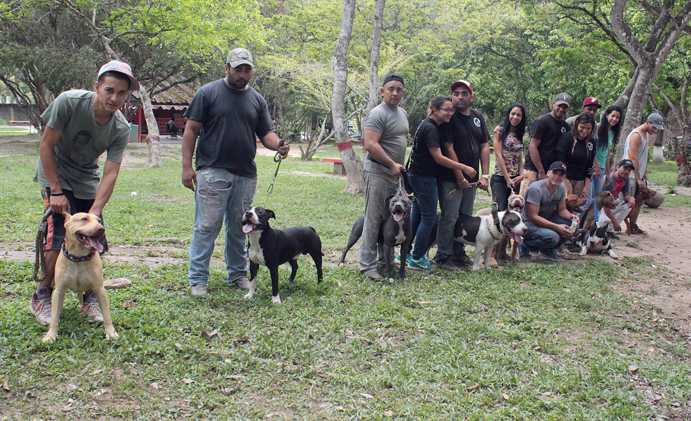 25 perros son entrenados cada fin de semana en el parque Los Nuevos Teques