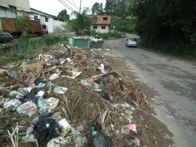 Animales pasaron por el proceso de castración con éxito