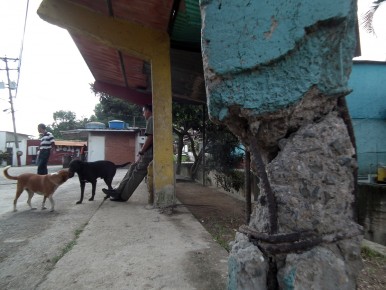 Vecinos son robados en paradas por ausencia de energía eléctrica