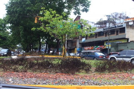 La redoma fue recuperada hace un año para la inauguración de la circunvalación Los Teques, hoy luce abandonada