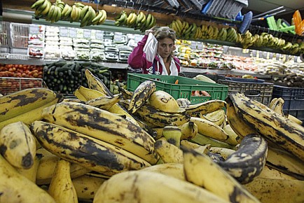Yuca, papa y plátano se han convertido en los grandes aliados de las amas de casa