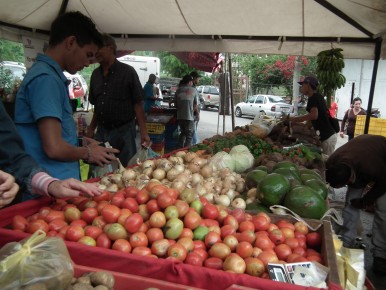 Otro inconveniente con el que se topan las personas a la hora de comprar el tomate es que no hay variedad