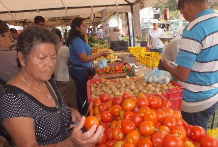 Feria agrícola llegó a Tácata