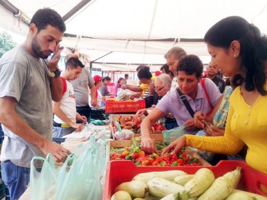 Mäs de 16 toneladas de productos llevarána a la parroquia guaicaipureña