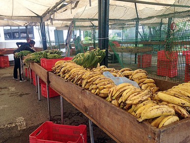 Amas de casa “cazan” ofertas en ferias y mercados municipalesAmas de casa “cazan” ofertas en ferias y mercados municipales