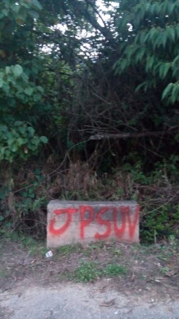 Hicieron pintas en la zona