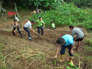 Los jóvenes en varias materias aprenden a sembrar, conocimiento muy útil en la situación actual del país