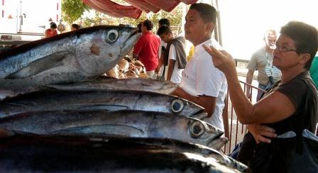 Los trabajadores accedieron a alrededor de dos mil kilos de pescados