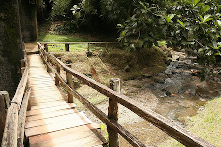 TurismoMiranda_ParqueGuatopo1