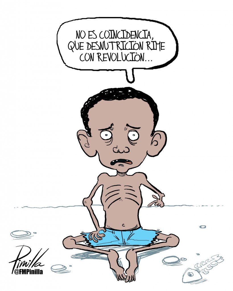 denutricion revolucion