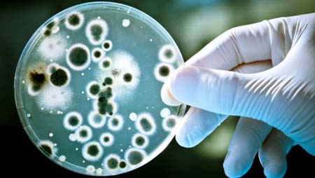 Infecciones aumentaron a 30% por falta de antibióticos y las medidas sanitarias que actualmente tienen los centros de salud.