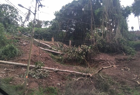 se trata de un terreno de más de 3 mil 400 metros que estarían “limpiando” para vender en parcelas