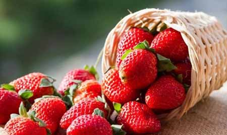 Compuesto natural que se halló en las fresas y en otras frutas, la fisetina, ha resultado ser un aliado eficaz para prevenir la enfermedad de Alzheimer.