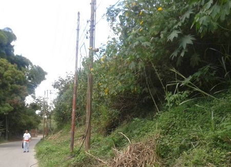 Roban aproximadamente 200 mts de cable de lineas telefonicas CANTV para vender el cobre dejando incomunidos seis sectores
