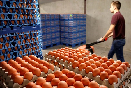 Huevos