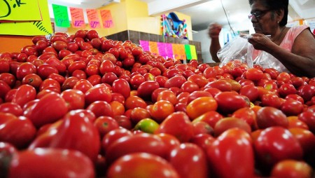 Tomate